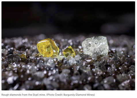 BNN Bloomberg photo, credited to Burgundy Diamond mines