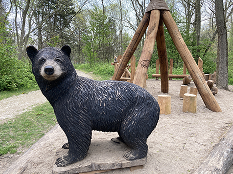 Point Pelee bear