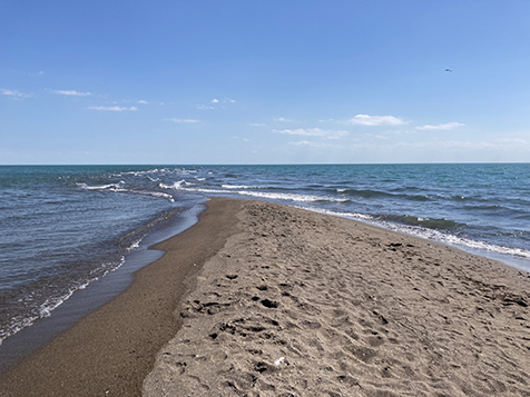 Point Pelee point